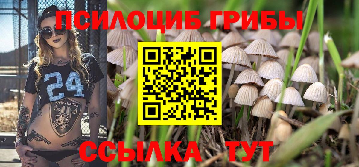 Псилоцибиновые грибы мицелий  Псилоцибиновые грибы ЛСД  магазин продажи наркотиков  Вход с VPN  Ростов-на-Дону 