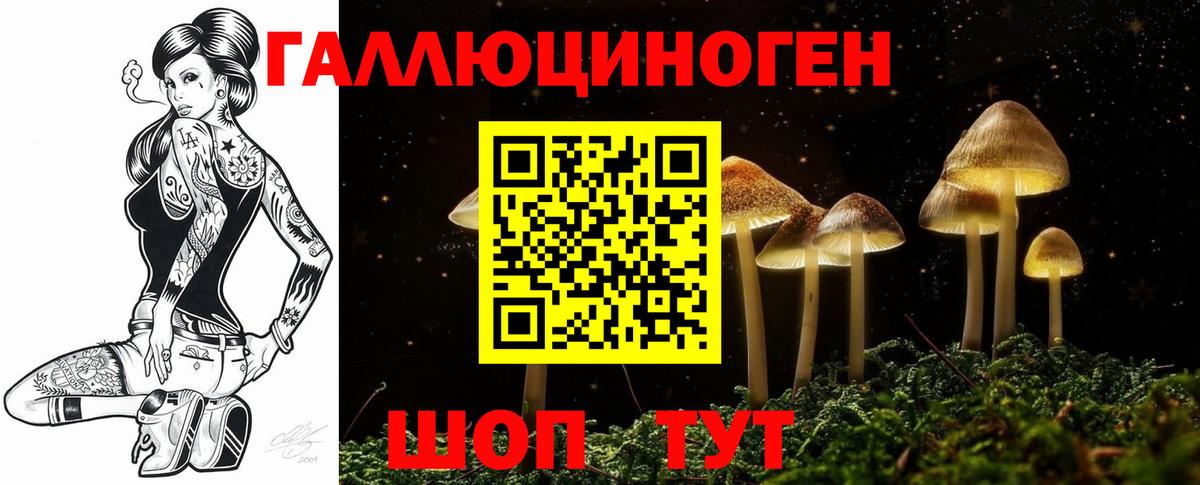 Псилоцибиновые грибы GOLDEN TEACHER Ростов-на-Дону
